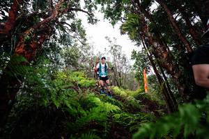 BIB: 
                            <button type="button" onclick="openModal(26203975)" class="btn btn-primary btn-sm float-right btn-popup" data-toggle="modal" data-target=".modal-high-quality">
                        <i class="fas fa-shopping-cart"></i> Add to Cart
                    </button>
                                            <button type="button" onclick="isThisMe(26203975, true)" class="btn btn-success btn-sm float-right btn-popup btn-isme hidden" data-toggle="tooltip" data-placement="bottom" title="นี่คือรูปของคุณใช่ไหม คลิกที่นี่เพื่อเอาเข้าอัลบั้ม">
                        <i class="fas fa-plus"></i> Add to album
                    </button>
                    <button type="button" onclick="isThisMe(26203975, false)" class="btn btn-warning btn-sm float-right btn-popup btn-isnotme hidden">
                        <i class="fas fa-ban"></i> Remove from album
                    </button>